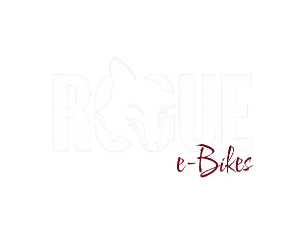 ROGUE eBIKE
